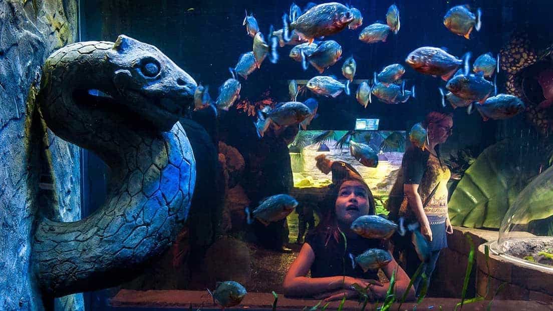 Brighton Oceanarium